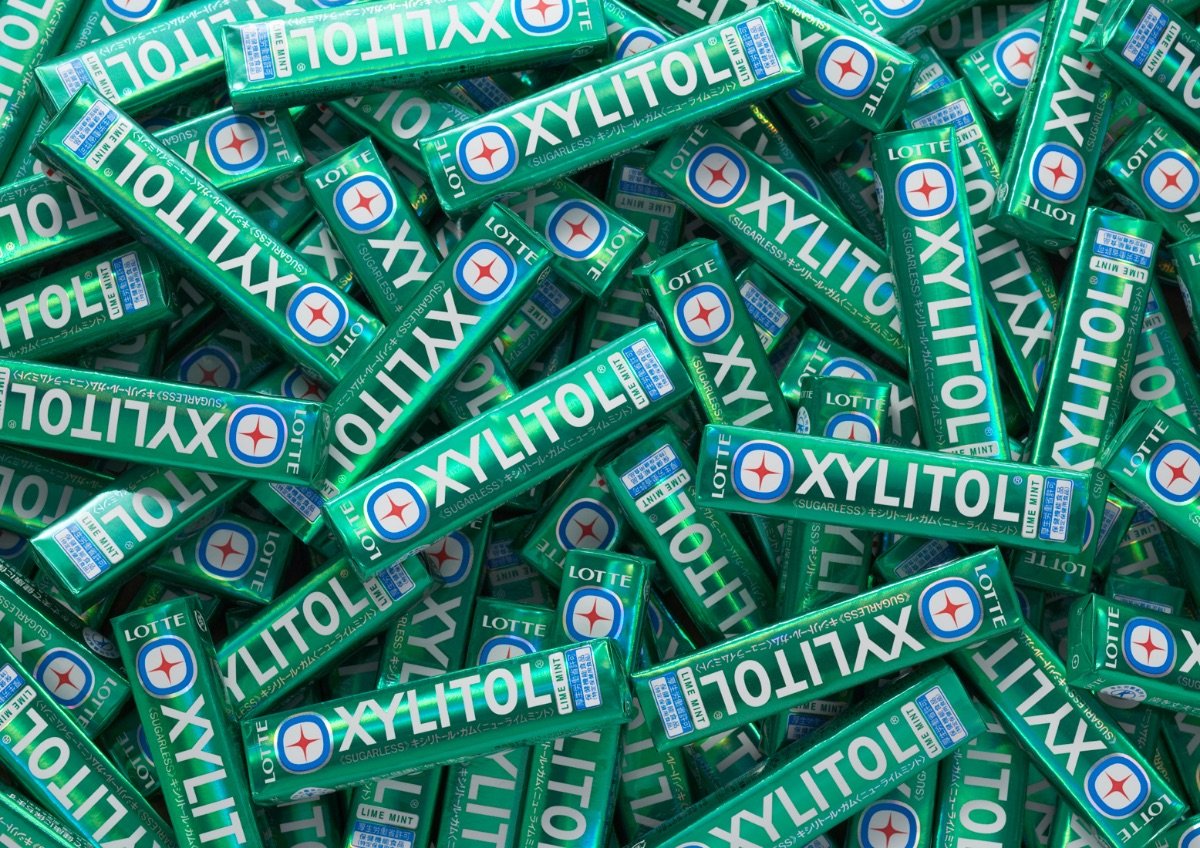 Lotte XYLITOL Chewing Gum